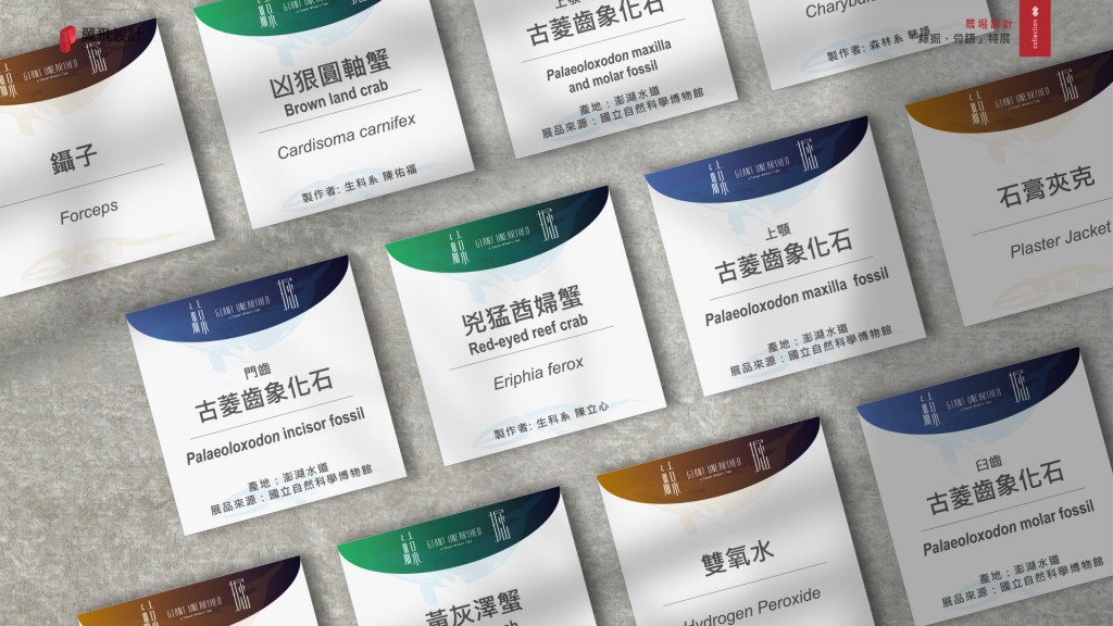 國立中興大學｜「鯨掘・骨語」特展